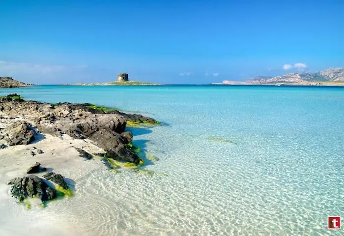 Casa Nancy 瓦雷多利亚